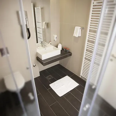 Laurus - Liburnia אופטיה