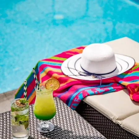 Laurus - Liburnia אופטיה