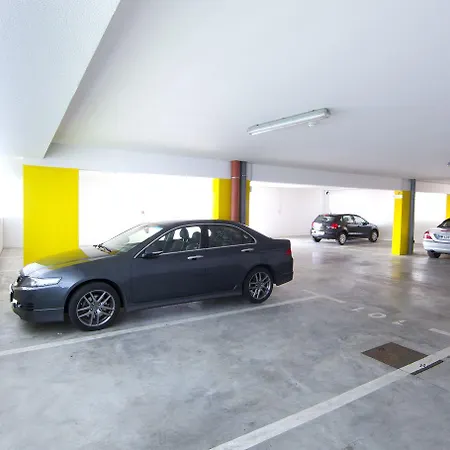 Laurus - Liburnia אופטיה