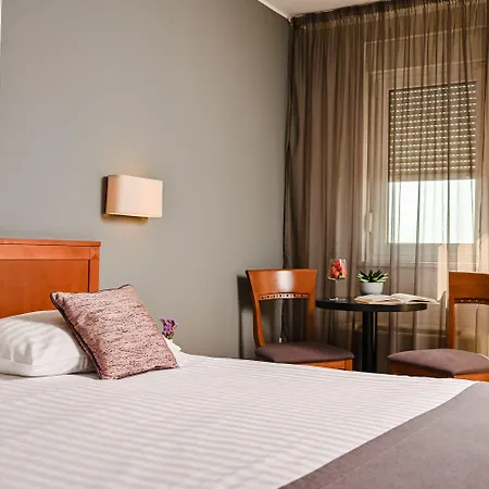 Laurus - Liburnia אופטיה