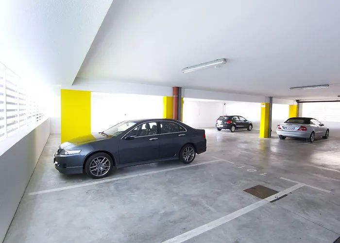 Laurus - Liburnia オパティヤ