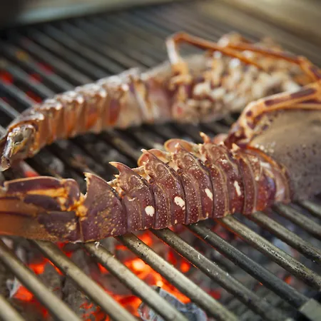 Laurus - Liburnia Hotel