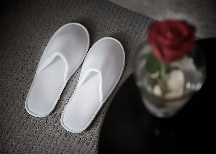 Laurus - Liburnia 4*